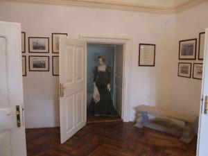 Balassi Bálint Múzeum